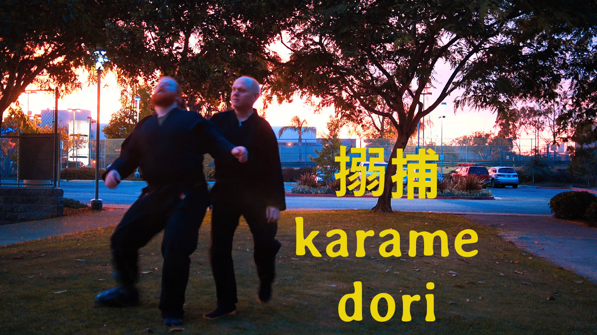 Bujinkan Kata 搦捕 karame dori