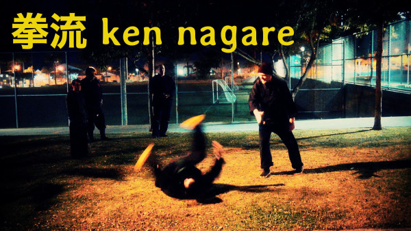 Bujinkan Kata 拳流 Ken Nagare Preview