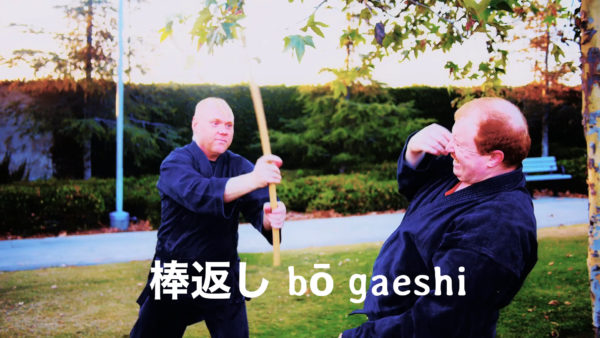 Bujinkan 半棒術 Hanbōjutsu: 突き返し tsukikaeshi and 棒返し bō gaeshi