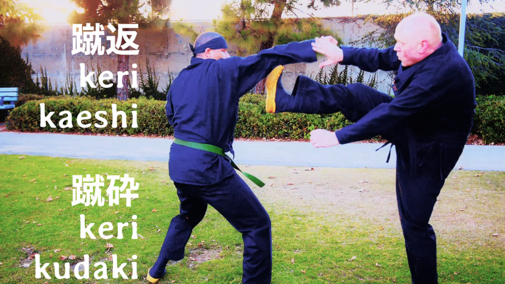Bujinkan 破術九法 Hajutsu Kyūho: 蹴返 keri kaeshi and 蹴砕 keri kudaki