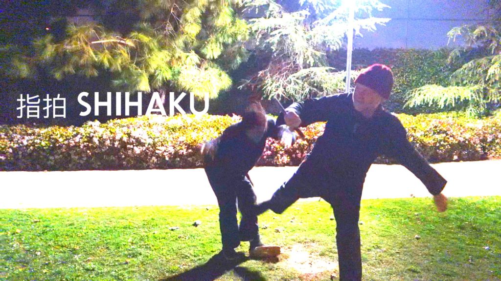 VIDEO: Bujinkan Kata 指拍 Shihaku