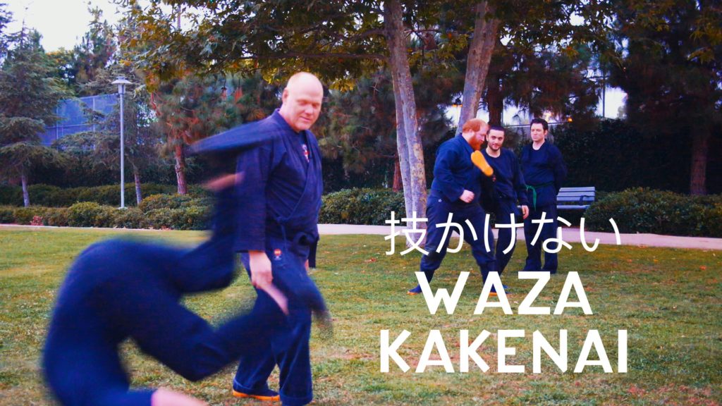 VIDEO: Bujinkan 技かけない Waza Kakenai