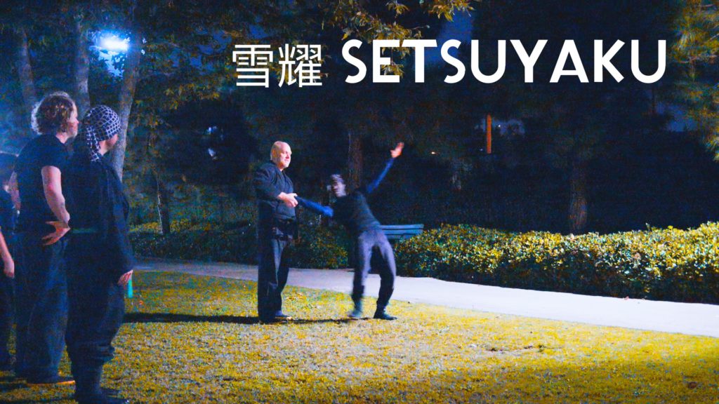VIDEO: Bujinkan Kata 雪耀 Setsuyaku