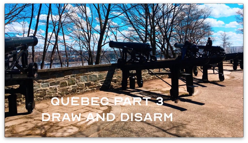 Québec Bujinkan Draw And Disarm