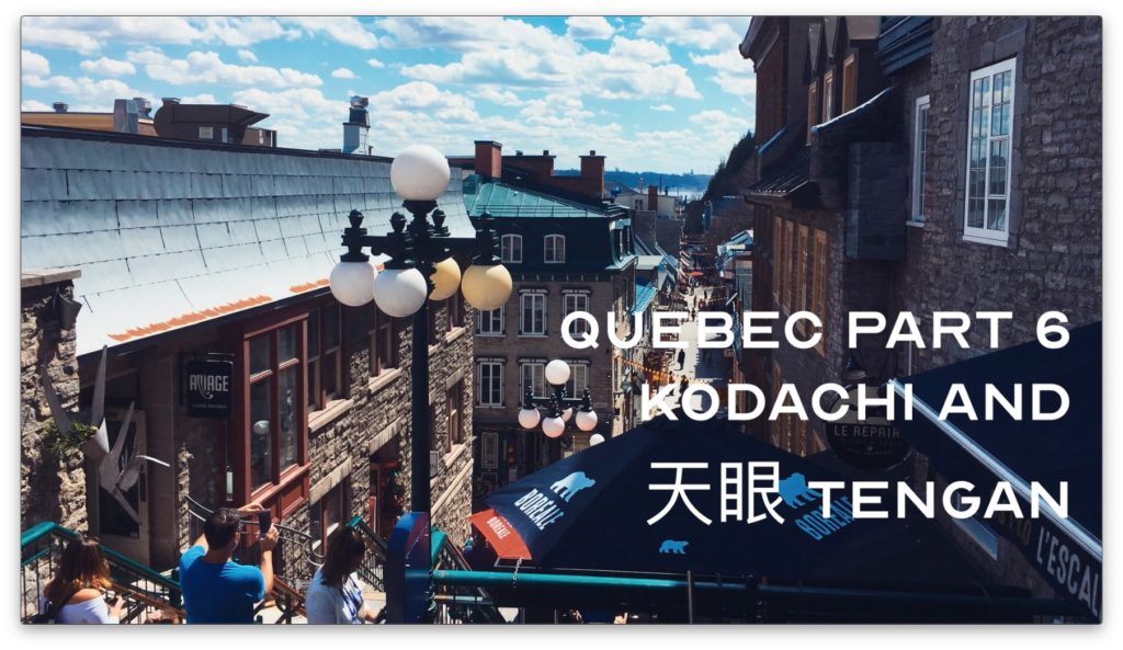 Québec Bujinkan Kodachi Kihon And 天眼 Tengan