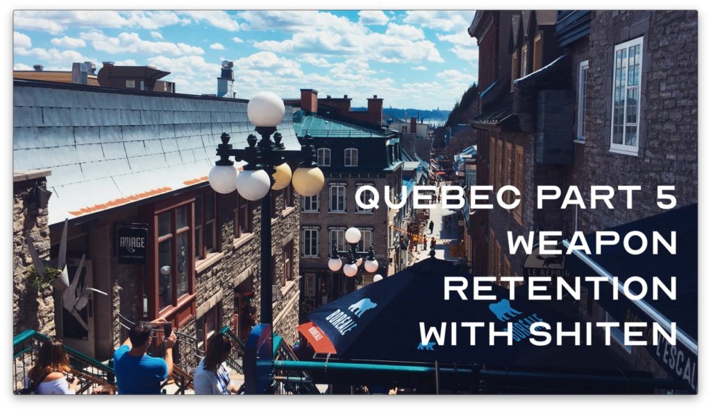 Québec Bujinkan Weapon Retention With 支点 Shiten