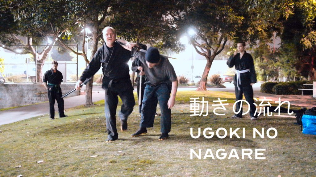 Bujinkan Theme of 動きの流れ Ugoki No Nagare