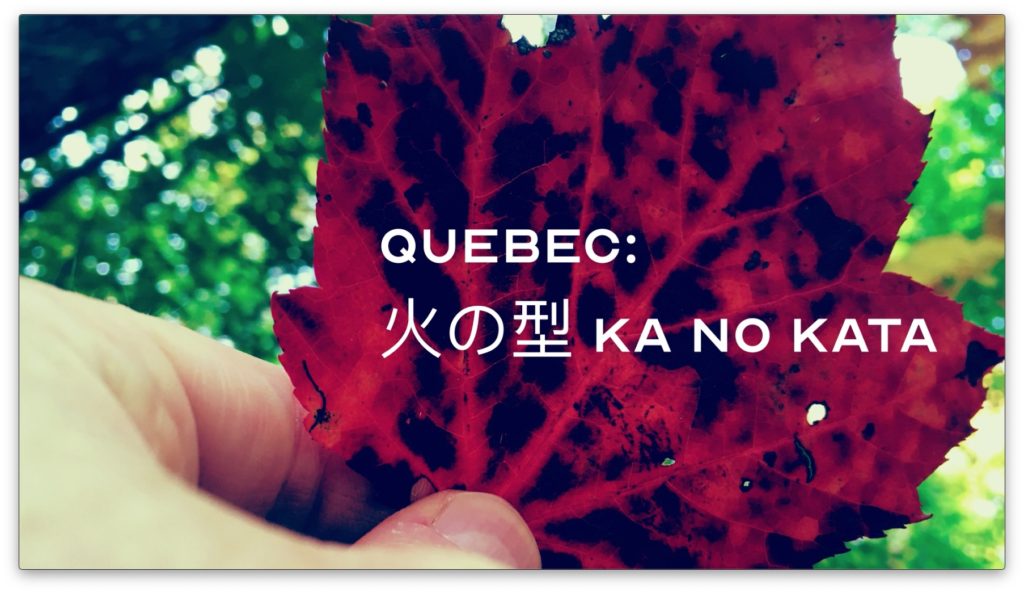 Bujinkan 火の型 Ka No Kata in Québec