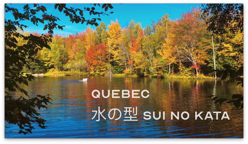Bujinkan 水の型 Sui No Kata in Québec