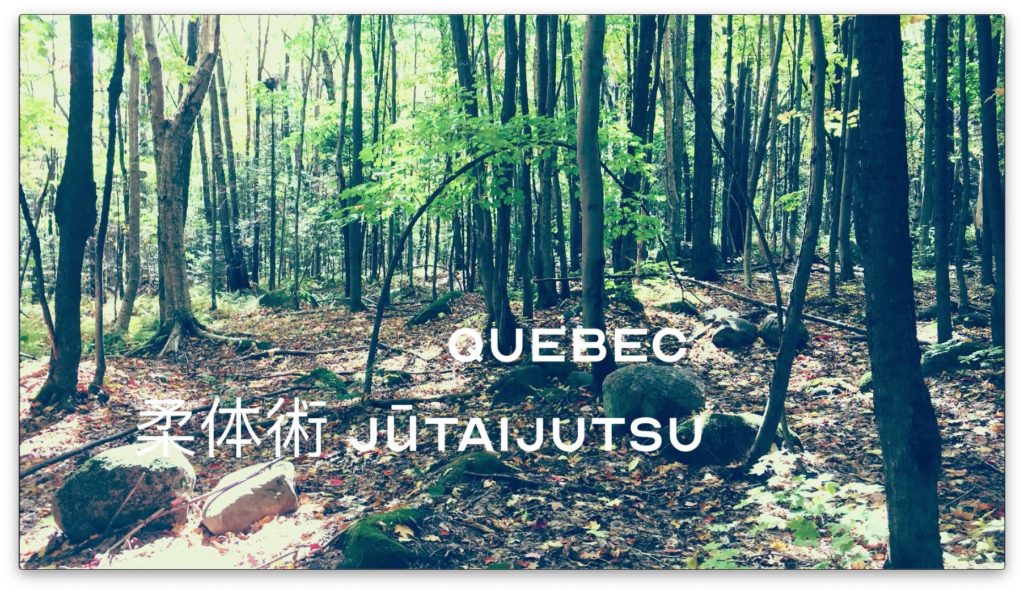 Bujinkan 柔体術 Jūtaijutsu in Québec