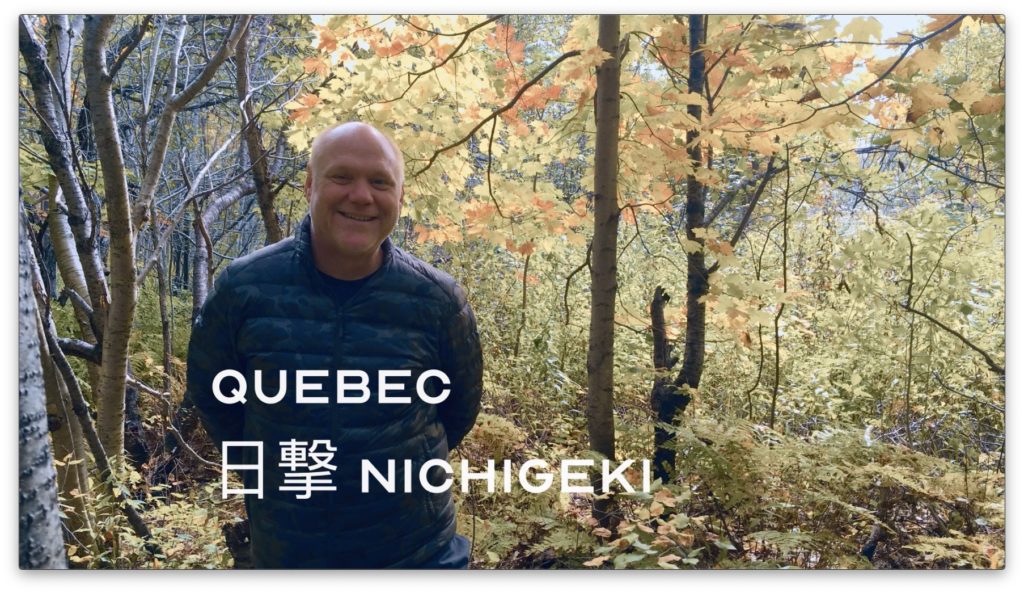 Bujinkan Kata 日撃 Nichigeki in Québec