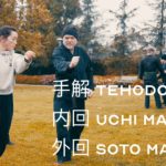 Bujinkan 手解 Tehodoki: 片手内回 Katate Uchi Mawashi and 片手外回 Katate Soto Mawashi