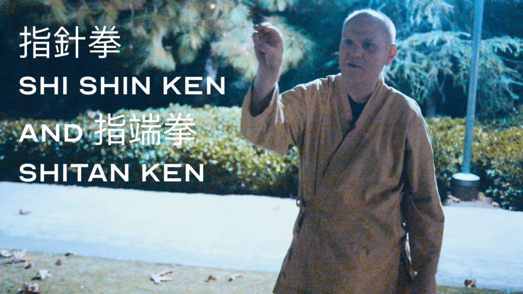 Bujinkan 指針拳 Shi Shin ken and 指端拳 Shitan ken