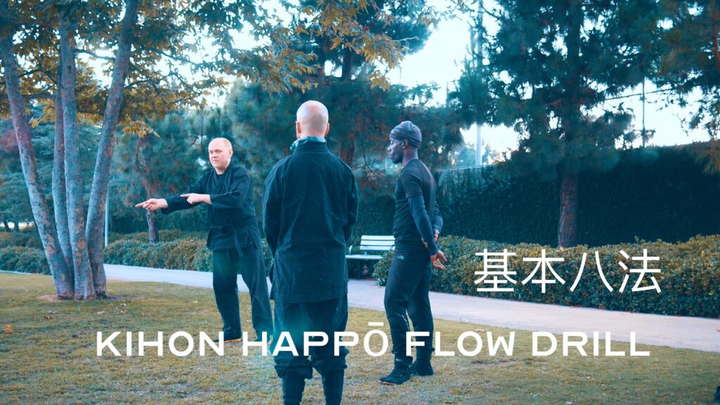 基本八法 Kihon Happō Flow Drill