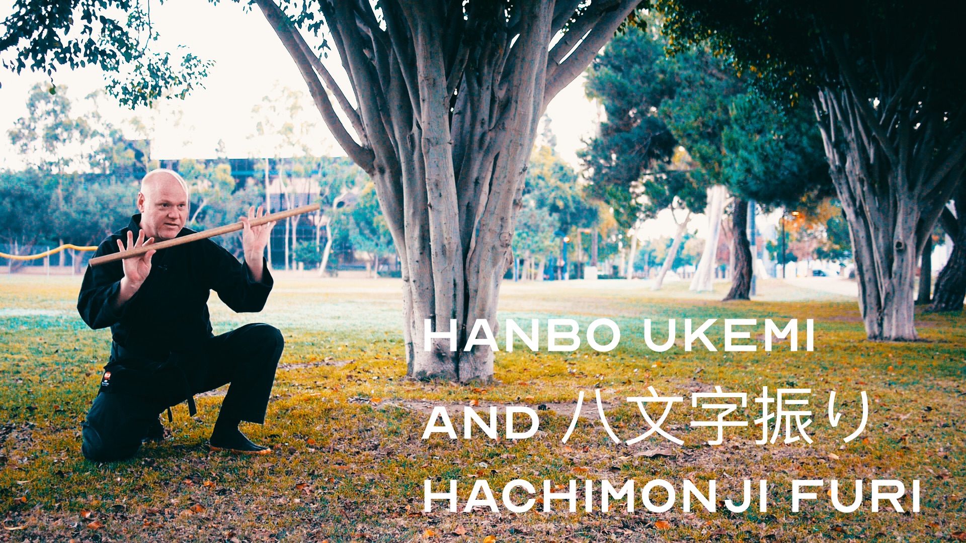 Bujinkan Hanbō: 八文字振り Hachimonji Furi and Ukemi