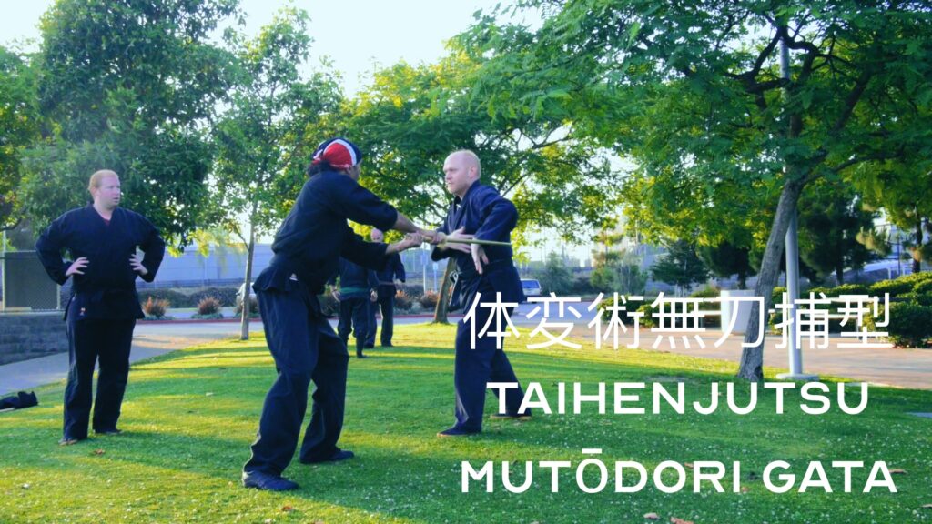 Bujinkan 体変術無刀捕型 Taihenjutsu Mutōdori Gata