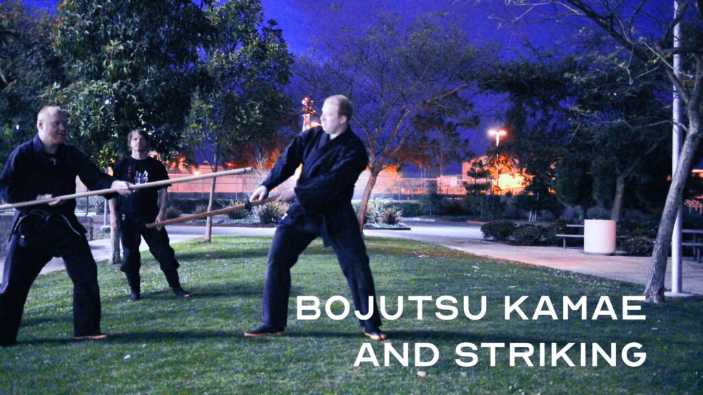 Bujinkan Bōjutsu Kamae and Striking