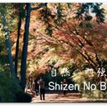 Bujinkan Kuden: 自然の勉強 Shizen No Benkyō