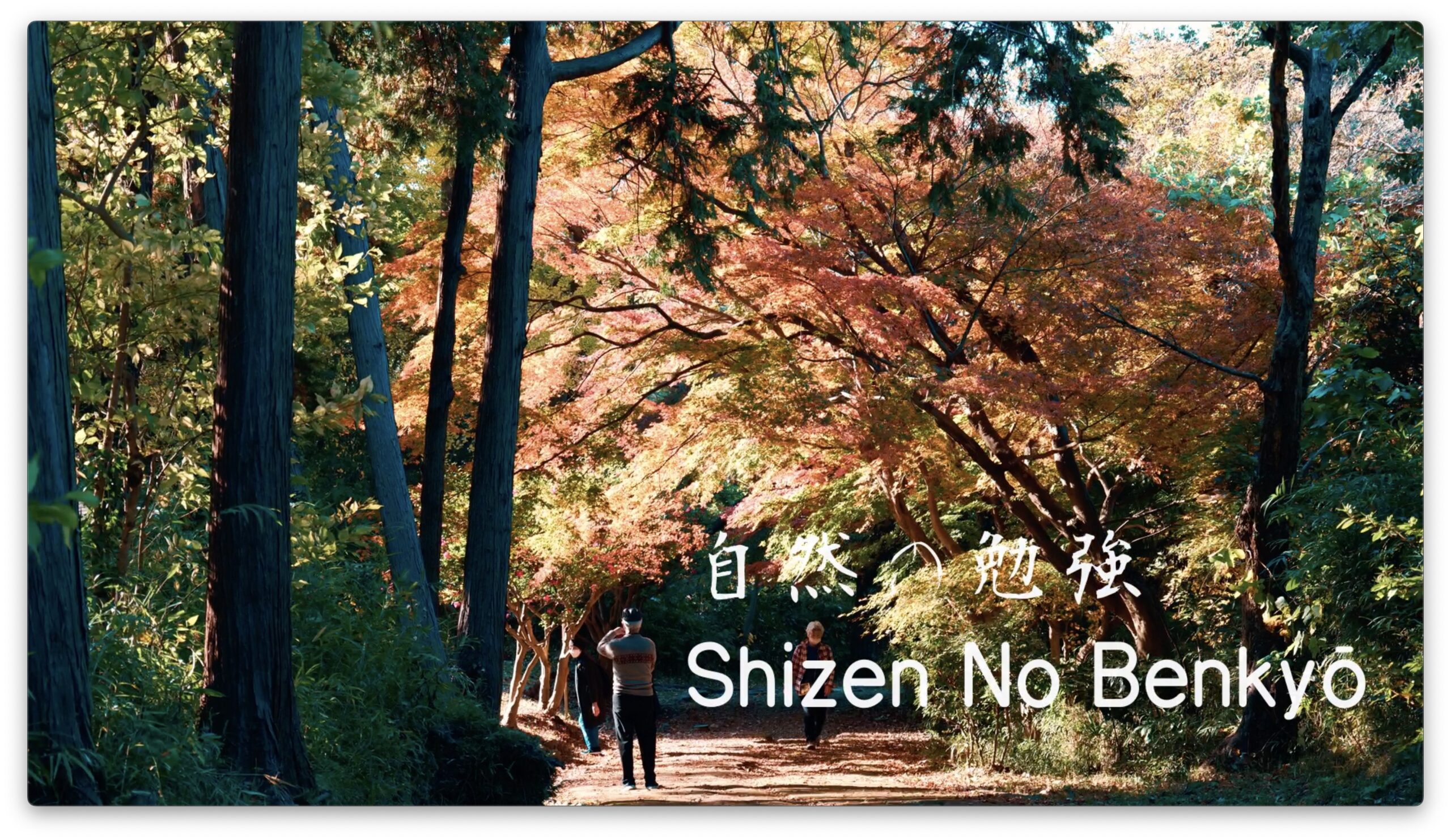 Bujinkan Kuden: 自然の勉強 Shizen No Benkyō